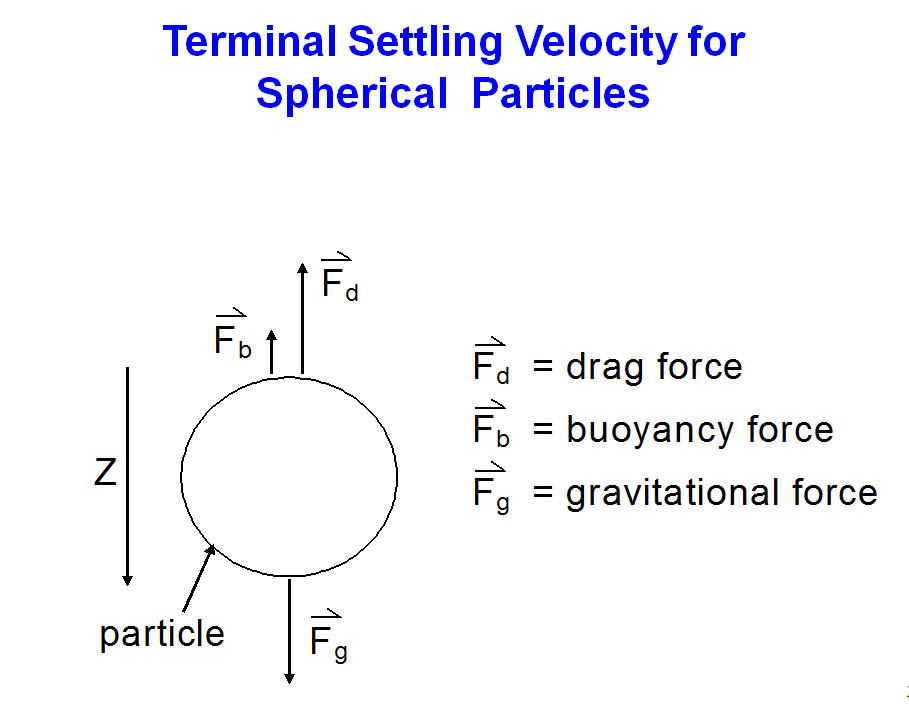 Force Balance on Settling Velocity